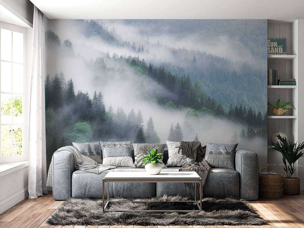 Bosque con niebla en las montañas