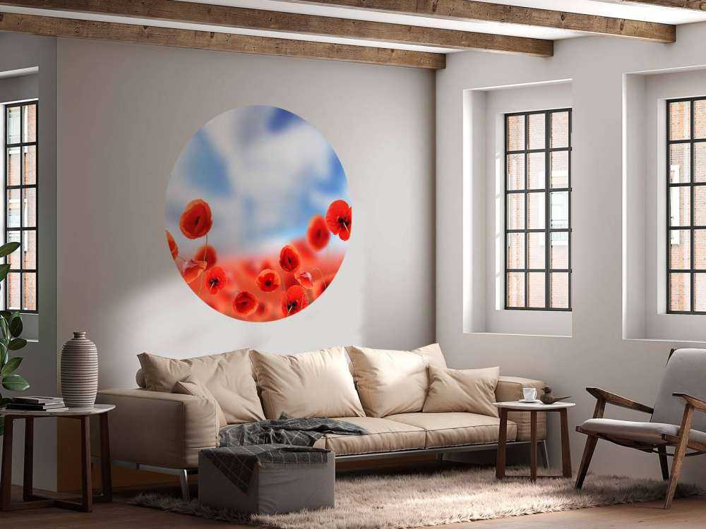 Cielo azul y amapolas rojas