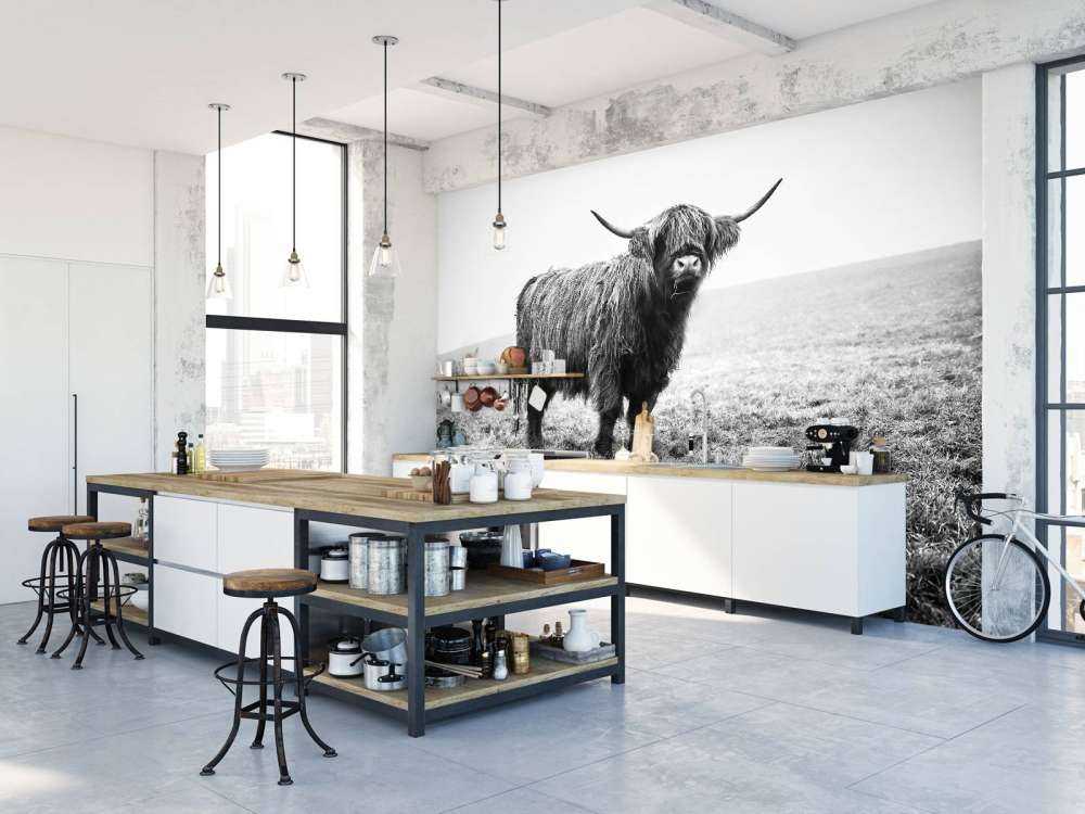 Vaca escocesa en la hierba