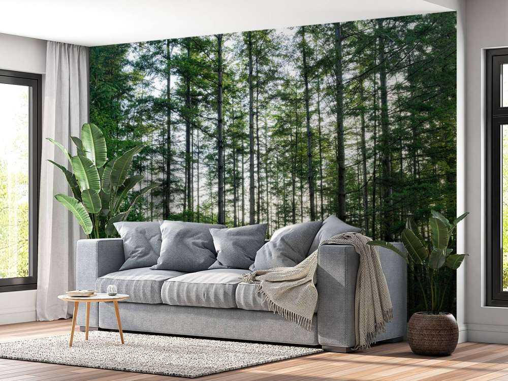 Bosque detallado