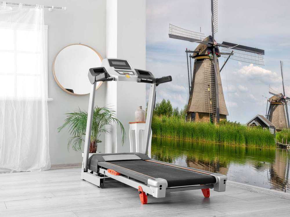 Molinos de viento de Kinderdijk