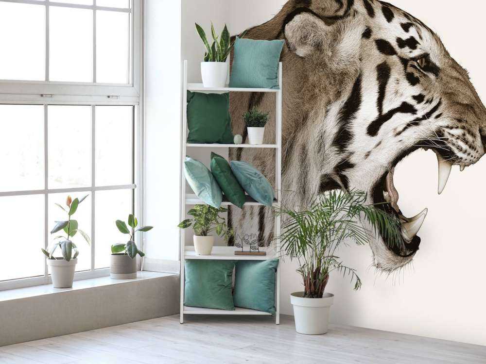 Tigre rugiente blanco hueso