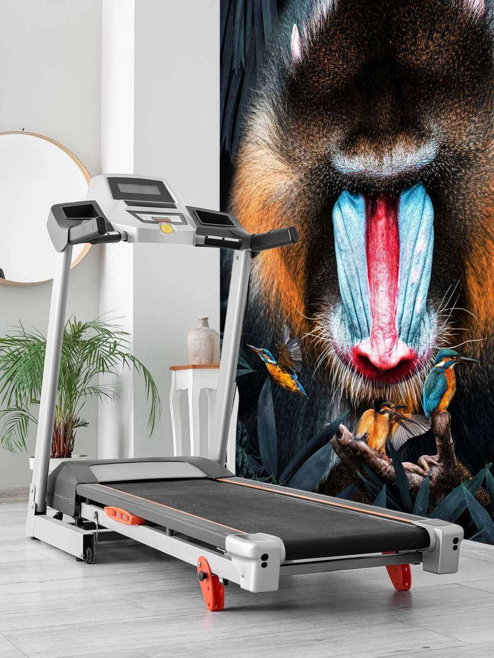 Mandrill Retrato
