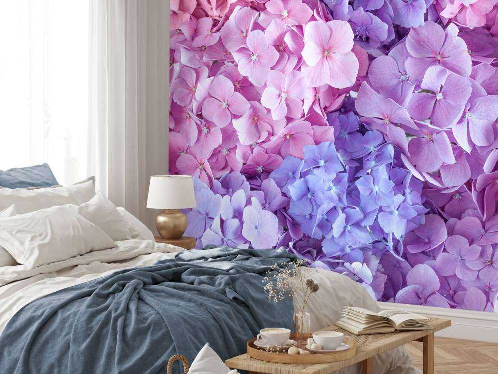 Hortensias de colores