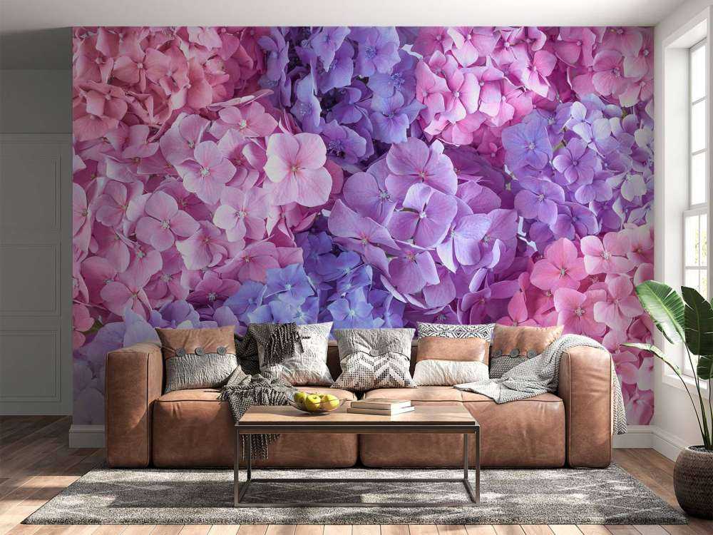 Hortensias de colores