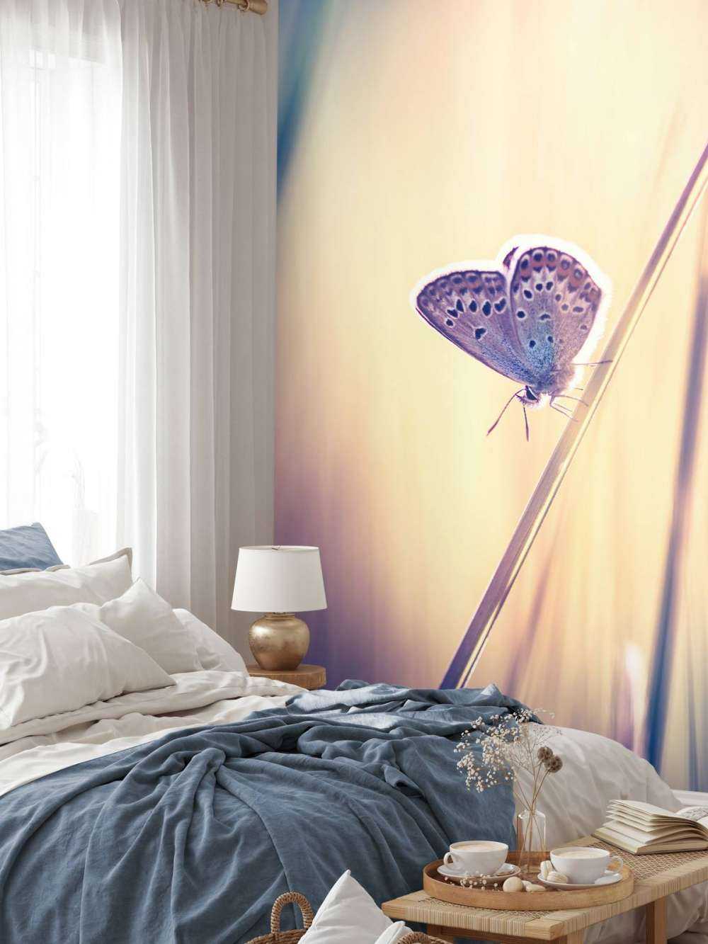 Mariposa de ensueño