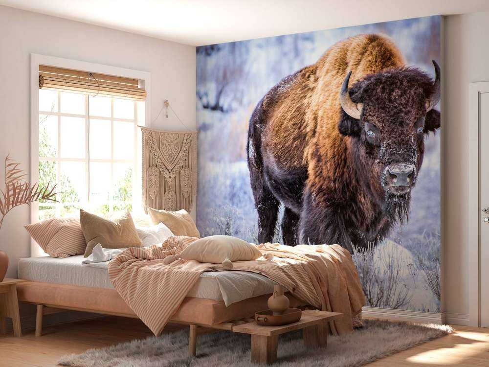 Bisonte
