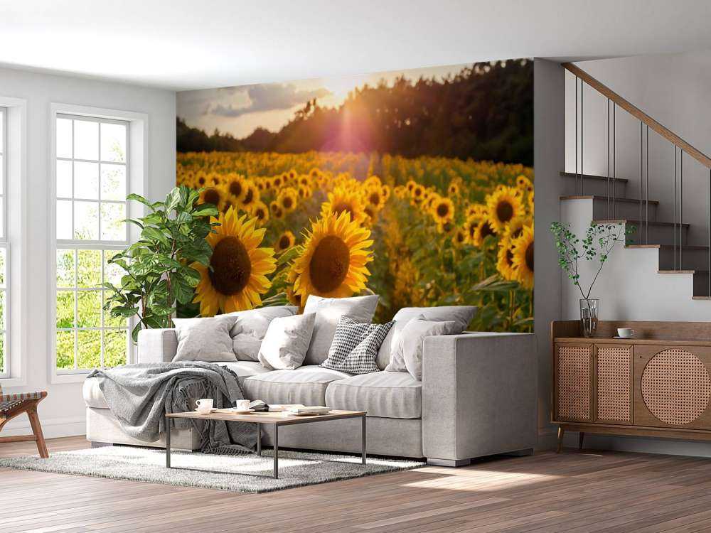 Granja de girasoles