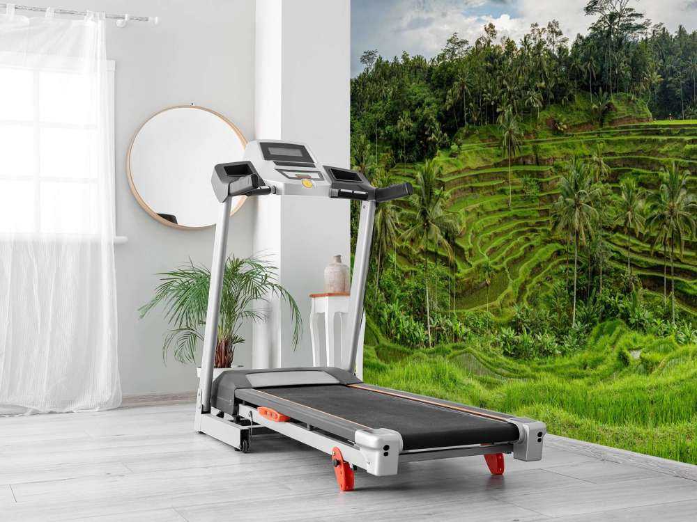 Campos de arroz tailandeses