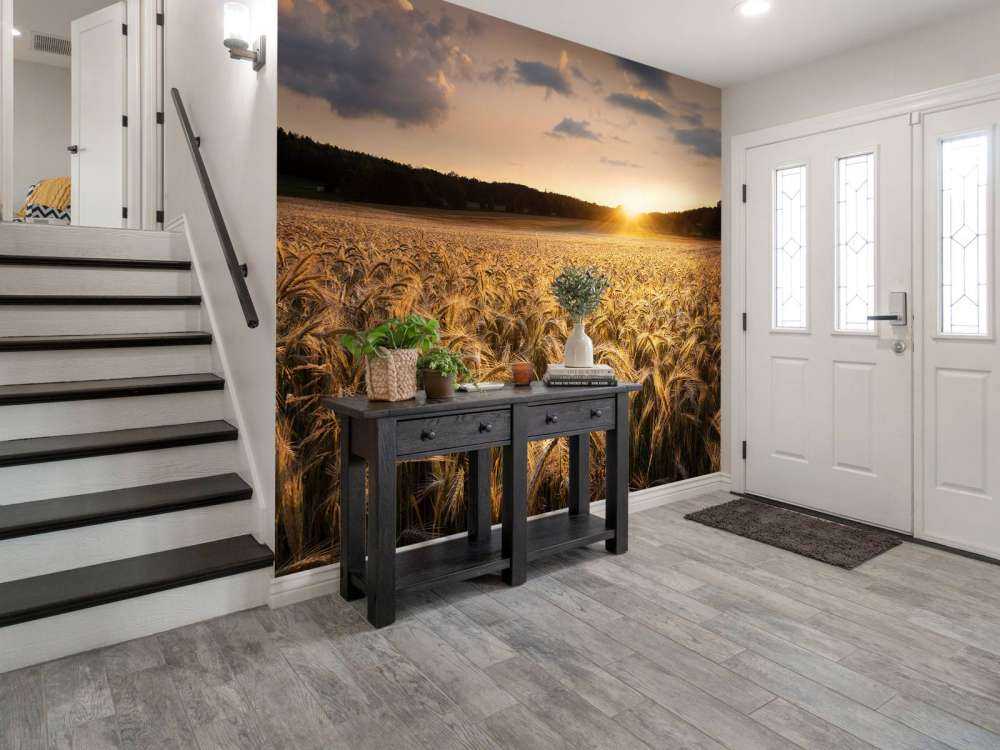 Campos de oro