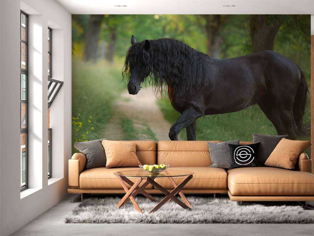 Unicornios dibujados