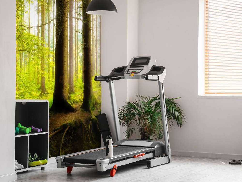 Bosque verde y fresco