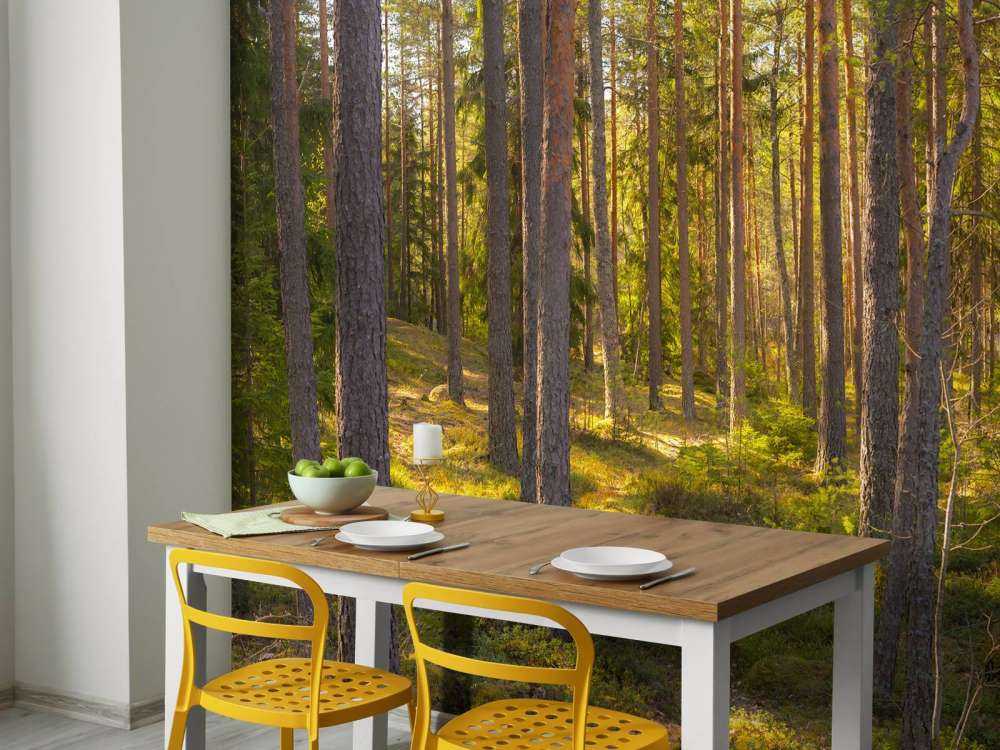 Bosque de verano