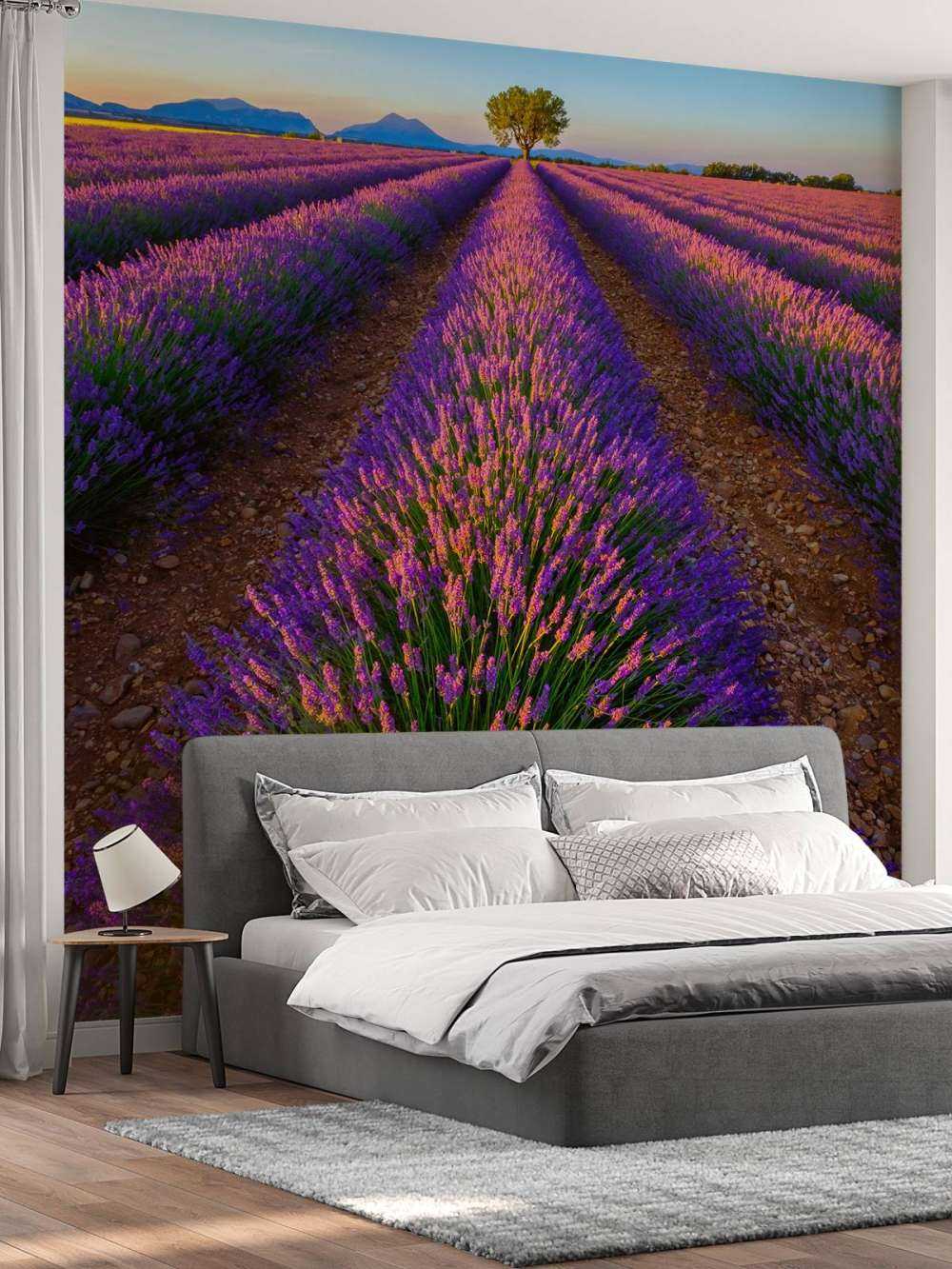 Lavanda a la luz del sol