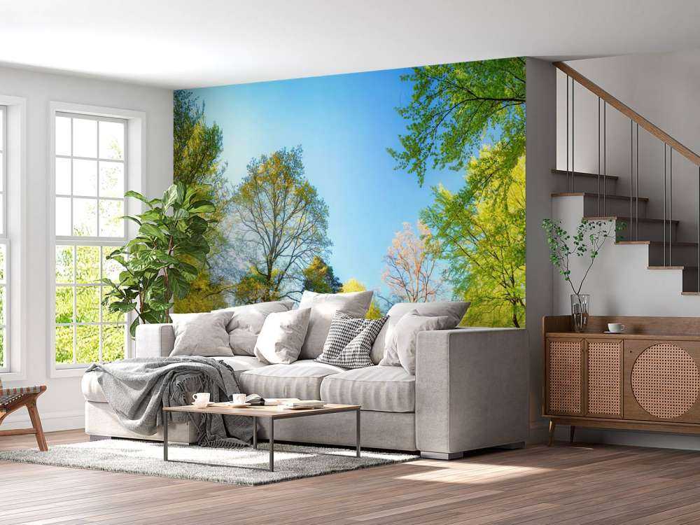 Paisaje de primavera