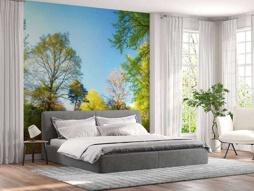 Paisaje de primavera