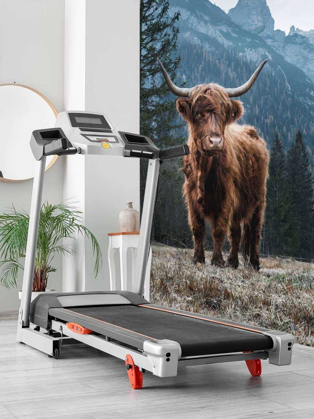 Una vaca escocesa entre los árboles
