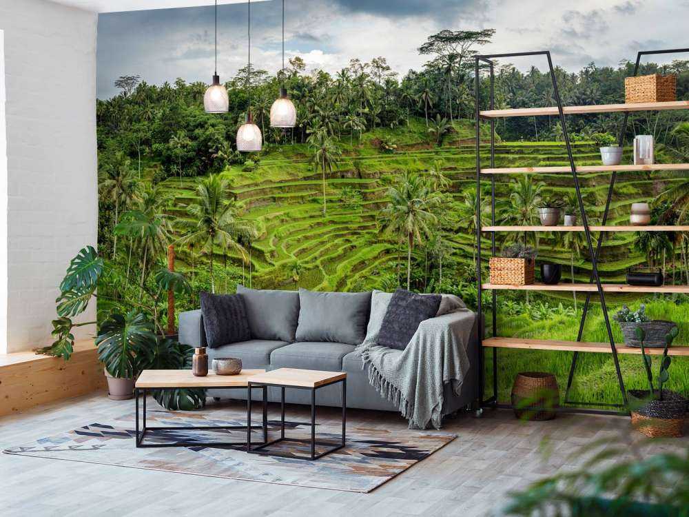 Campos de arroz tailandeses