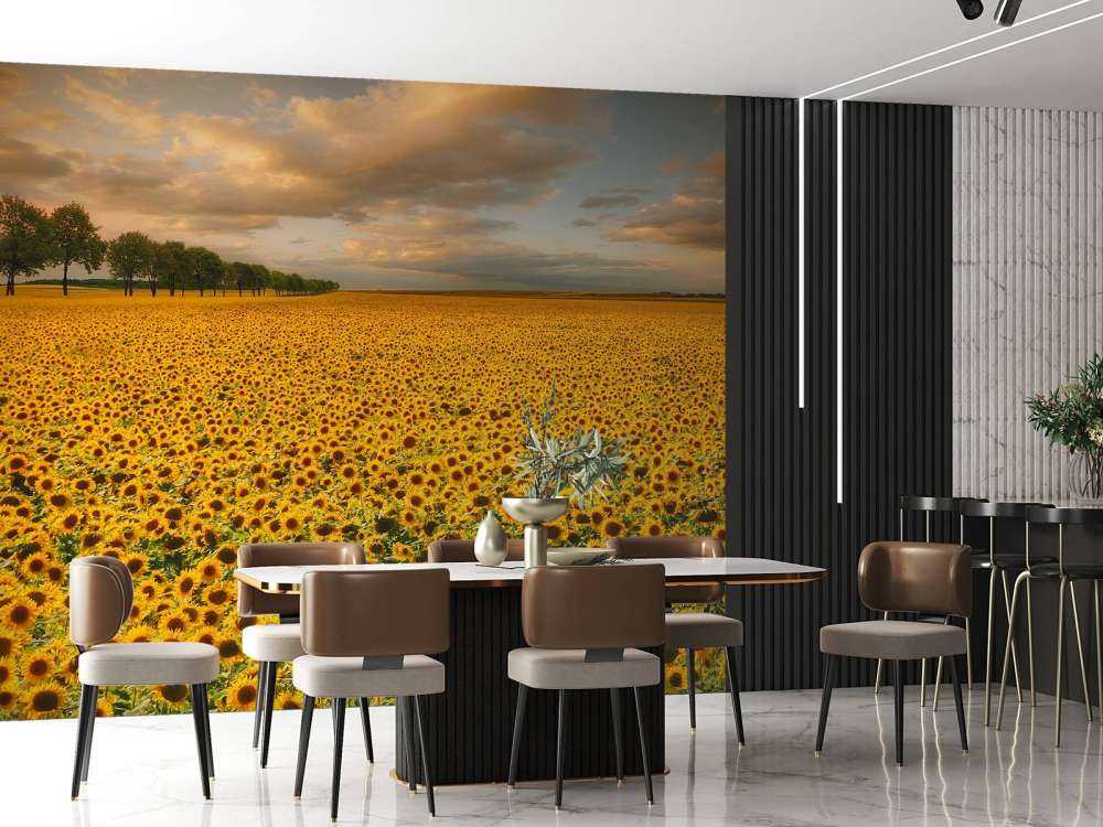 Sunflowers
