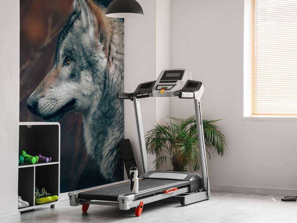 Lobo