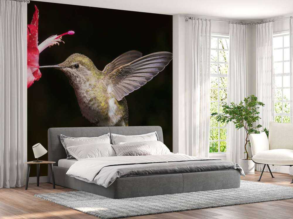 Colibrí con flor roja