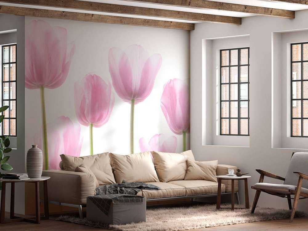 Tulipanes rosas