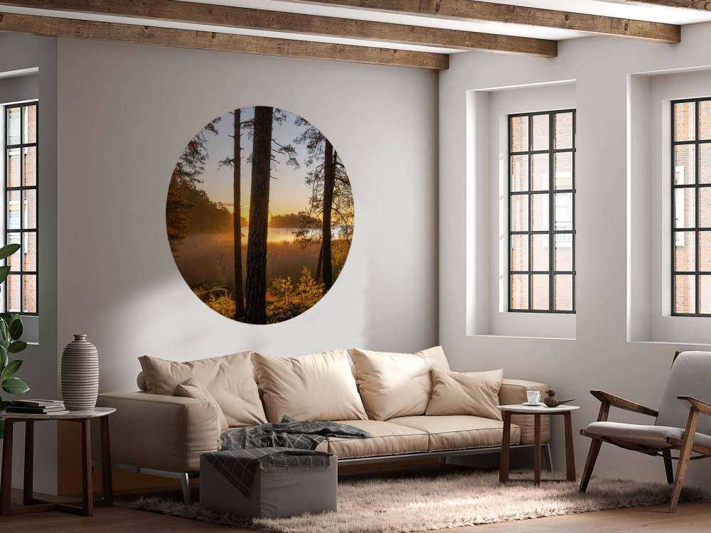 Bosque al atardecer