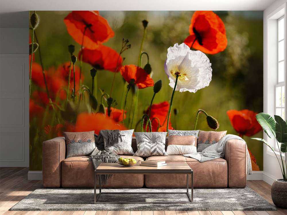 Grupo de amapolas