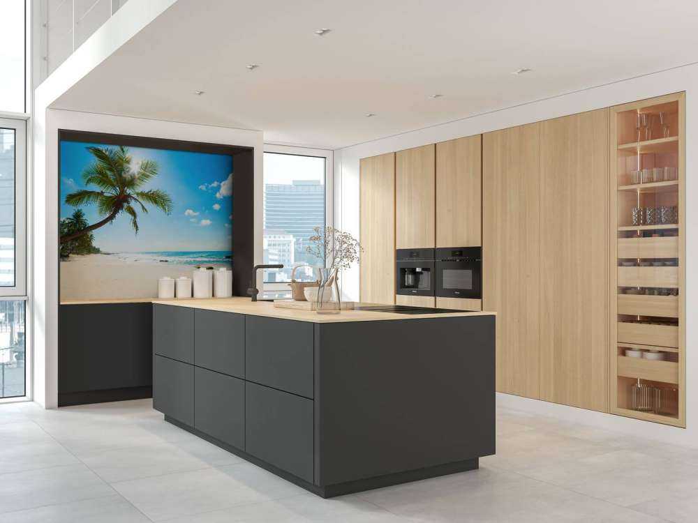 Gran palmera