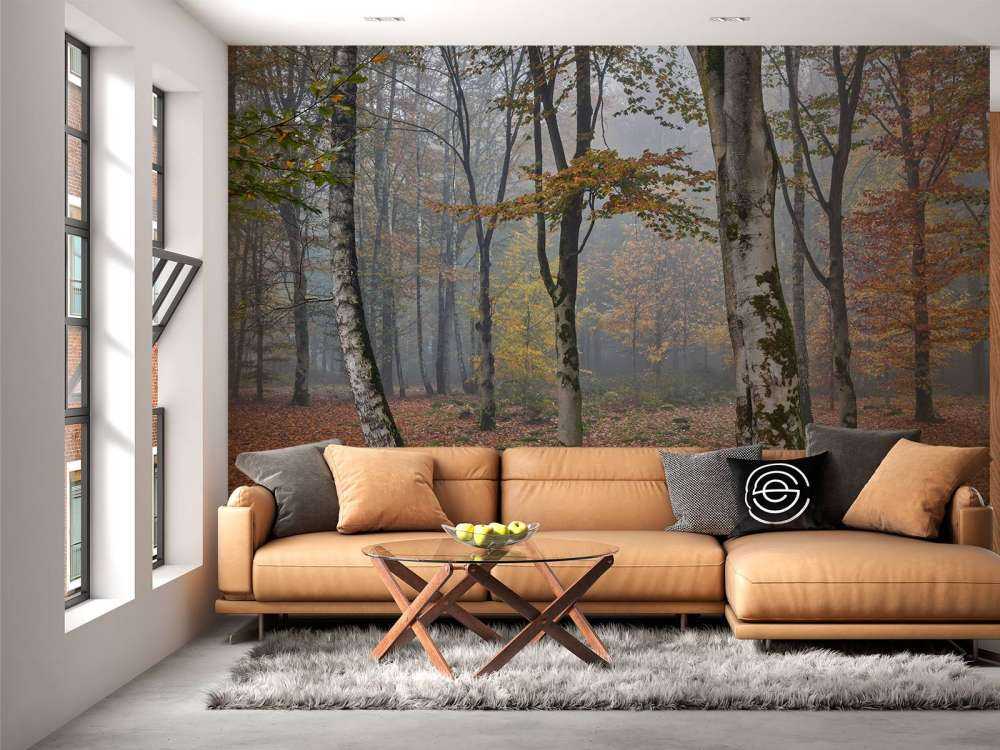 Bosque de abedules en otoño