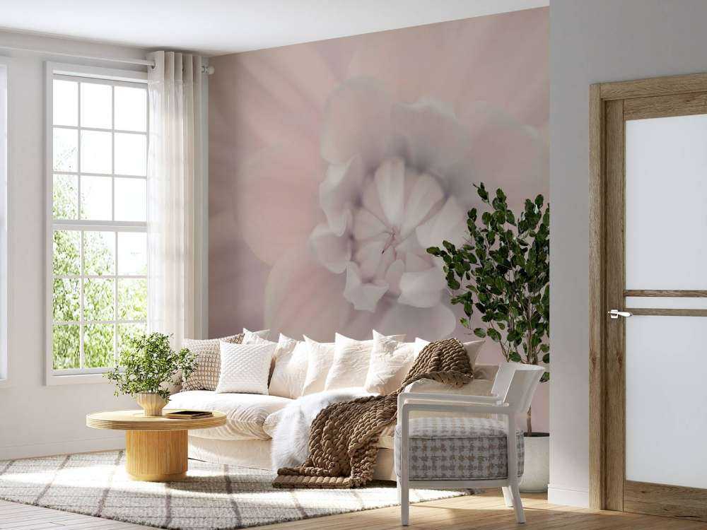 Flor de dalia rosa