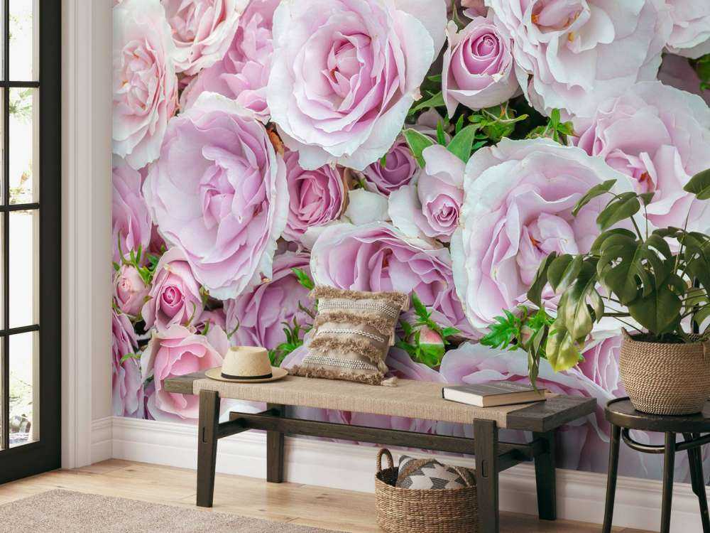Coloridas rosas blancas y rosas