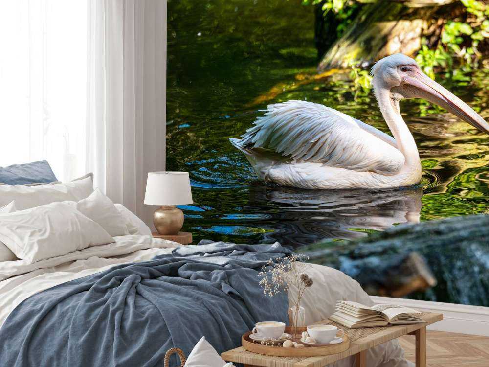 Pelican