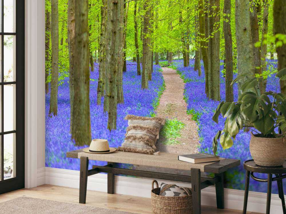 Sendero Bluebell