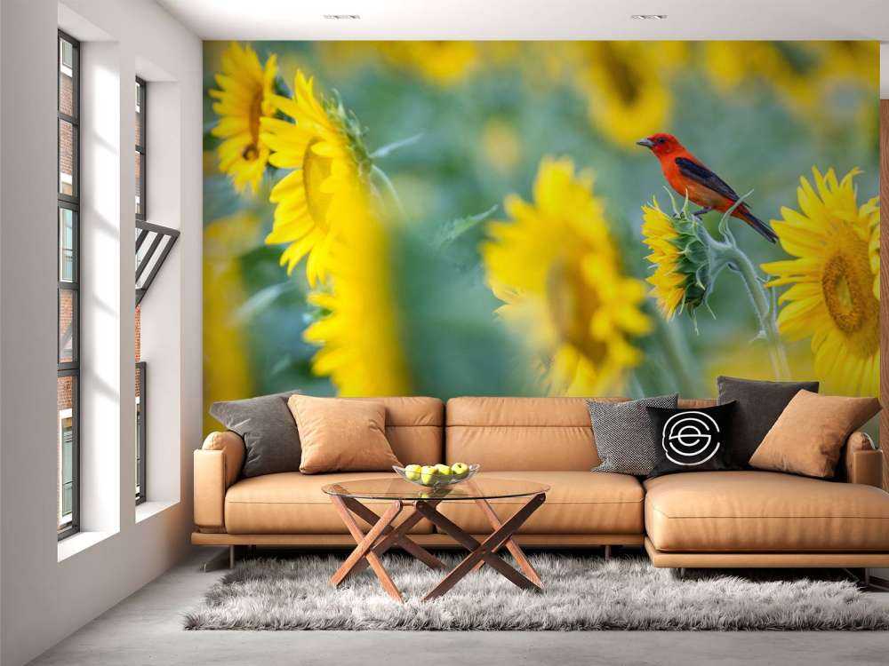 Campo de girasoles con pájaro rojo