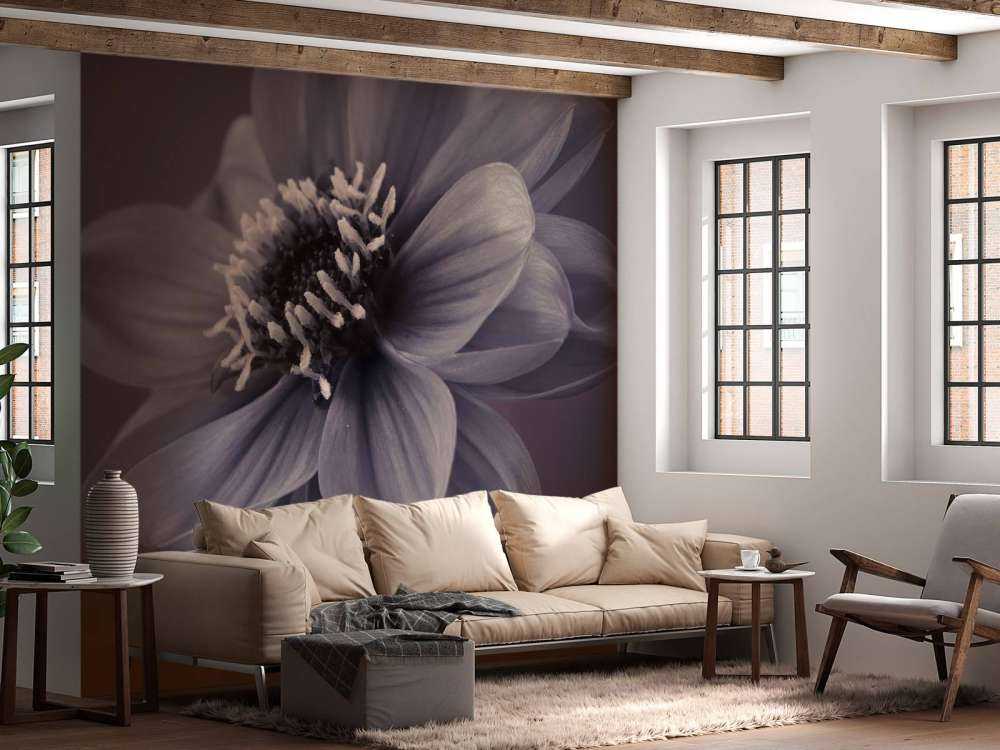 Flor de dalia oscura