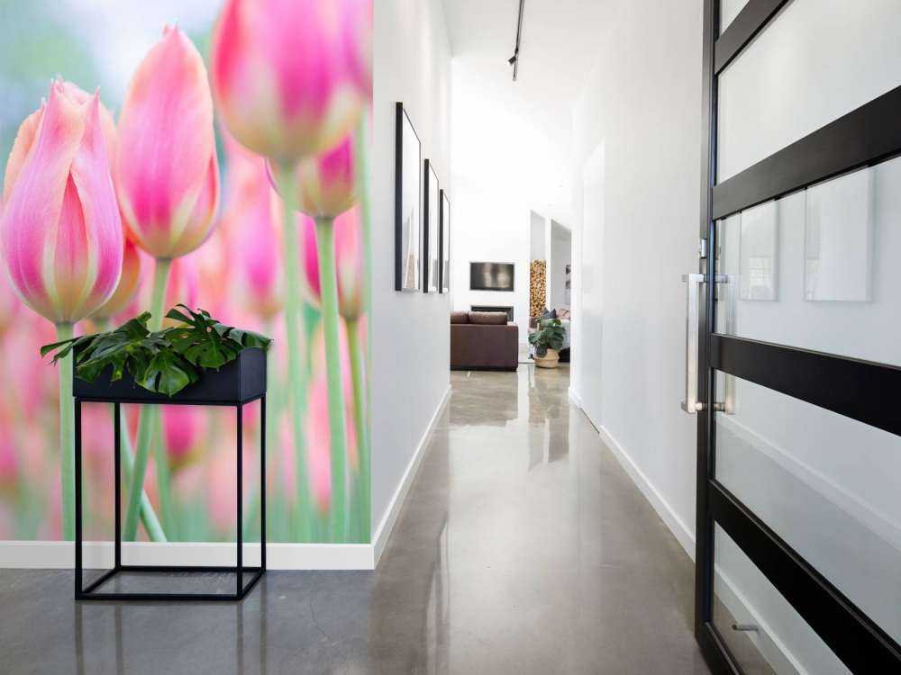 Primer plano de tulipanes rosas