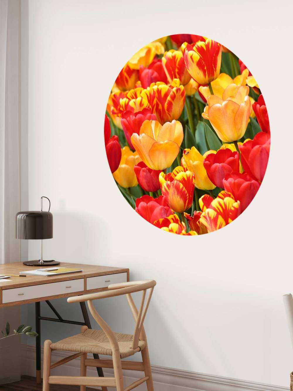 Tulipanes de colores