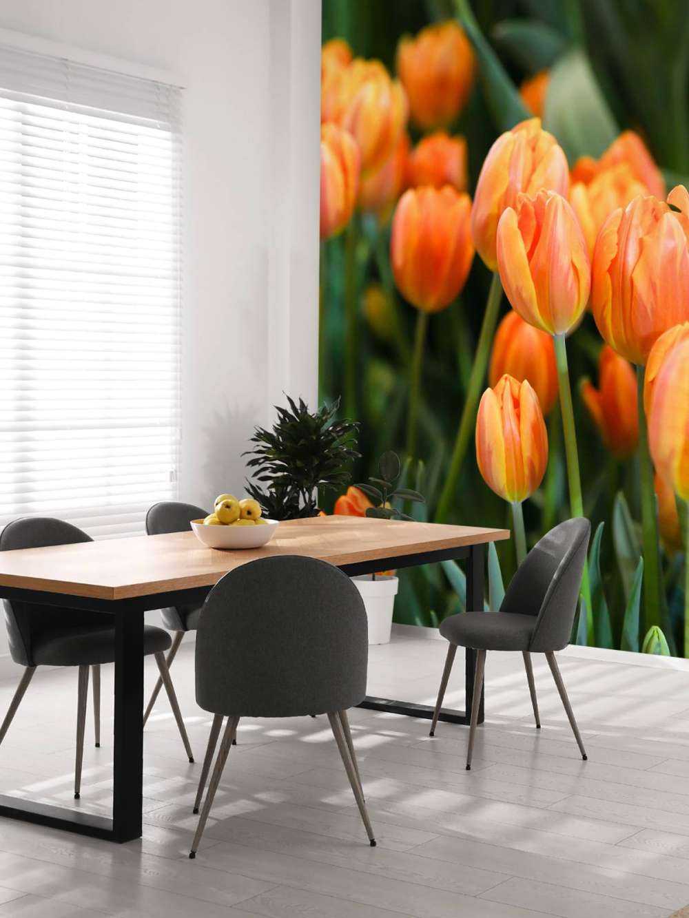 Tulipanes naranjas