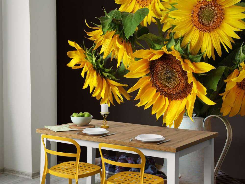Girasoles y bayas