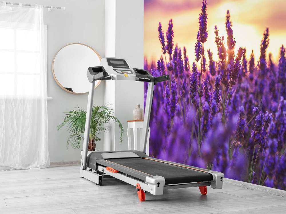 Flores de lavanda
