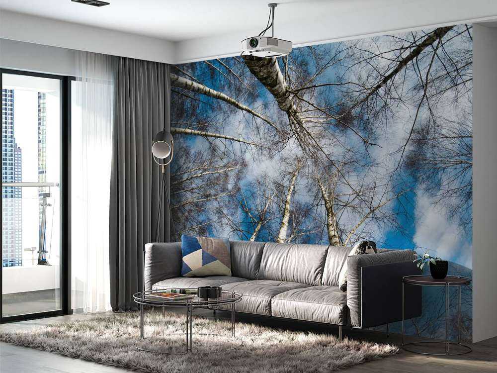 Bosque de abedules