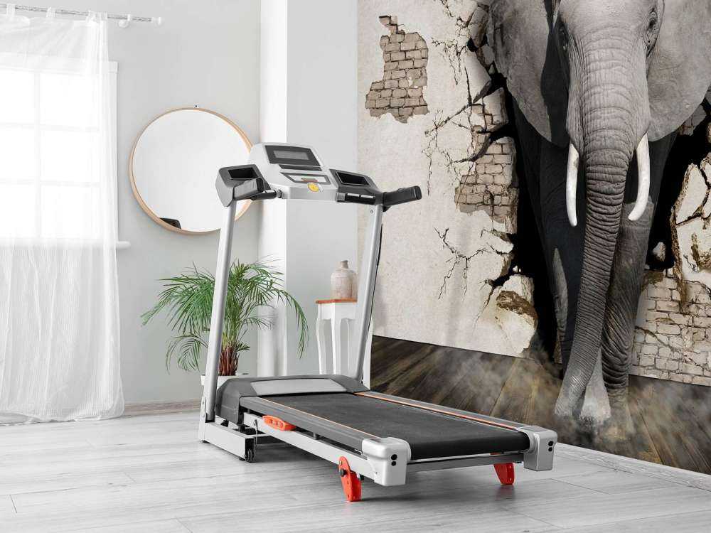 Elefante 3D de la pared