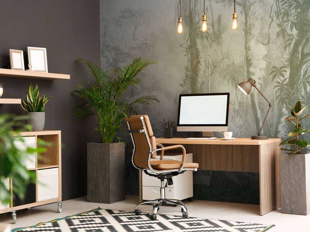Bosque tropical - verde