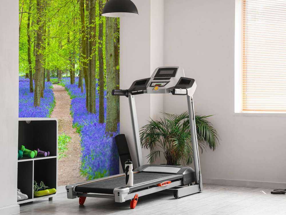 Sendero Bluebell
