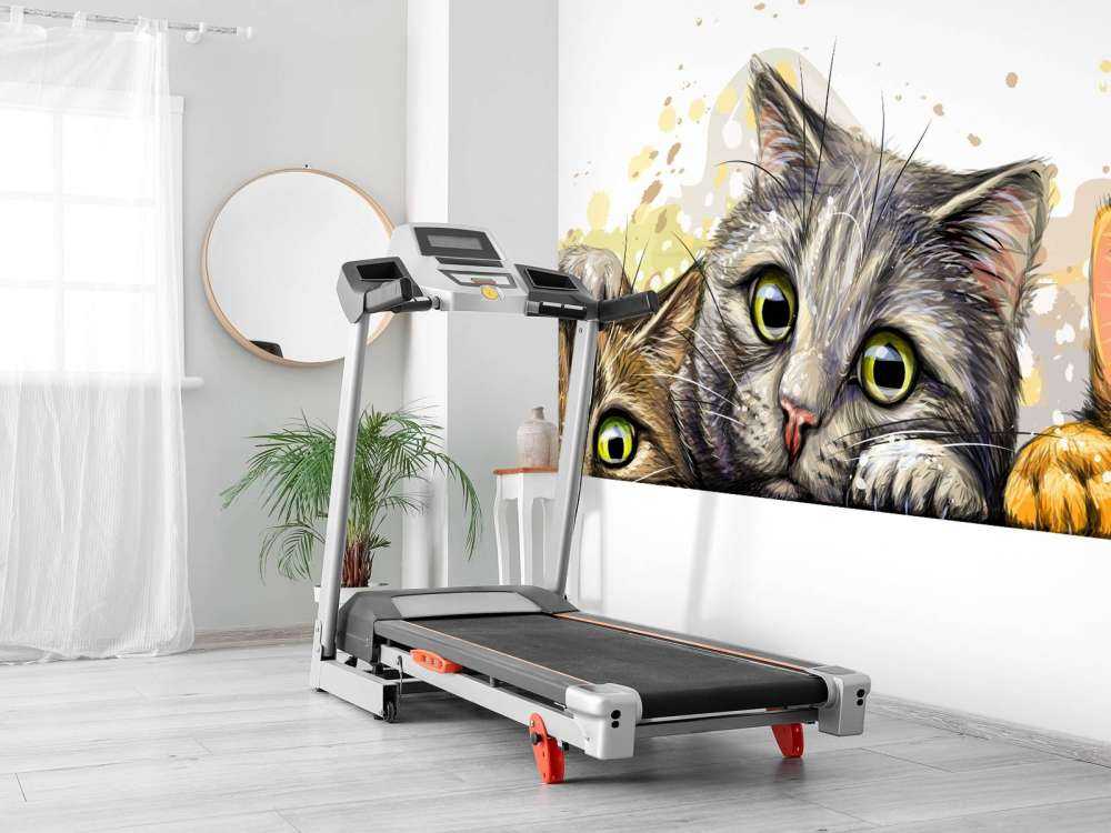 Dibujo del gato