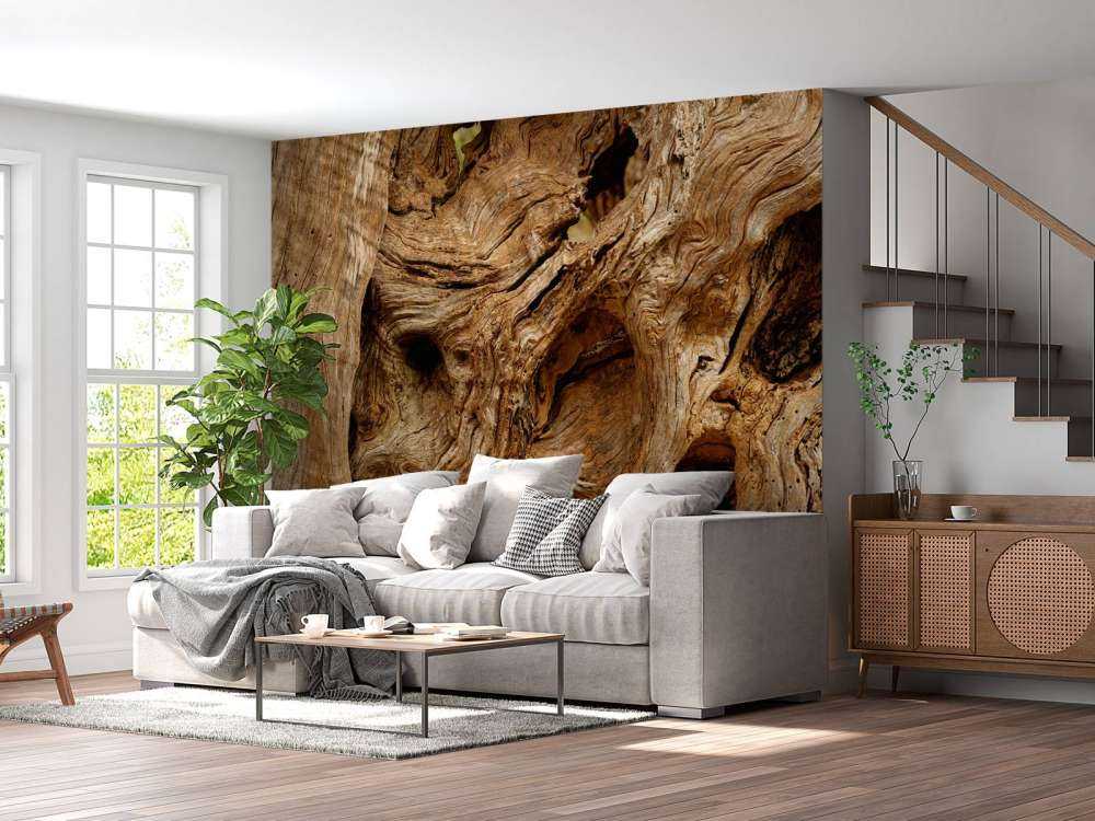 Primer plano de un árbol viejo
