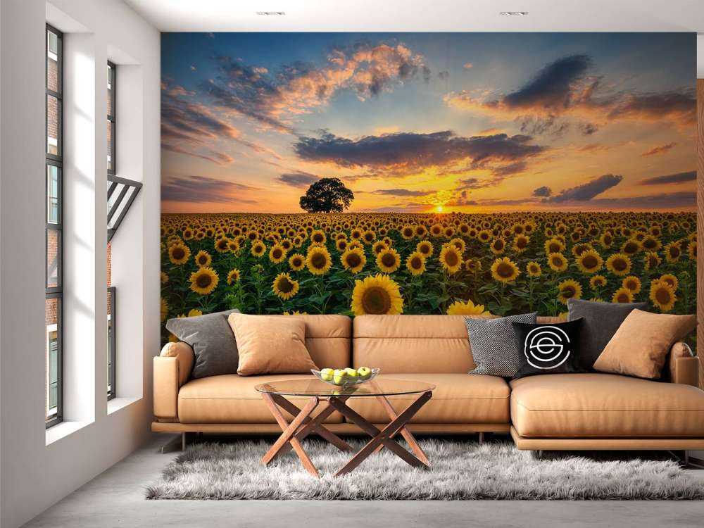Campo lleno de girasoles