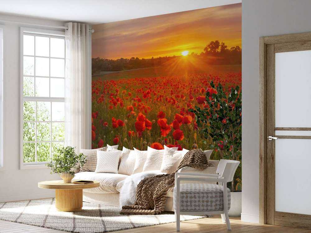 Campo de amapolas en flor