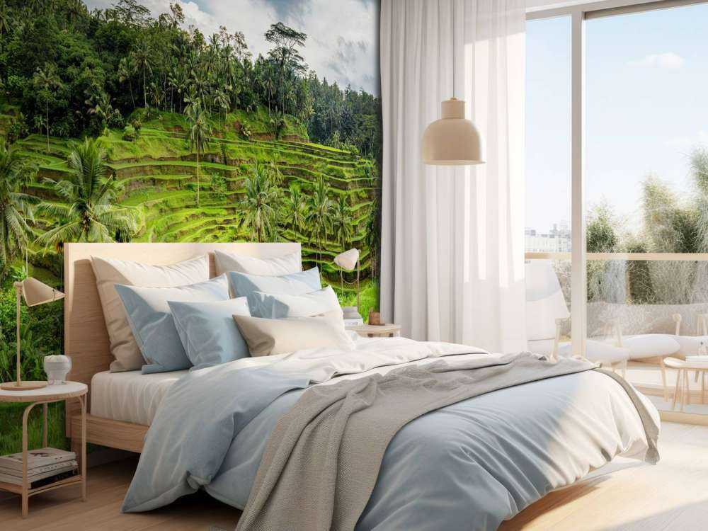Campos de arroz tailandeses